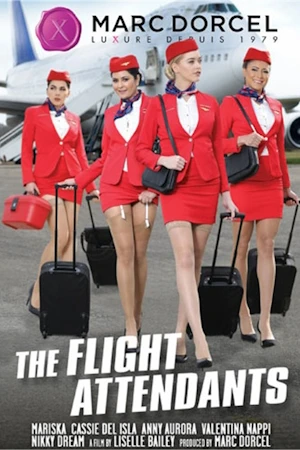 The Flight Attendants porn video